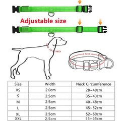 LED Light Dog Collar
