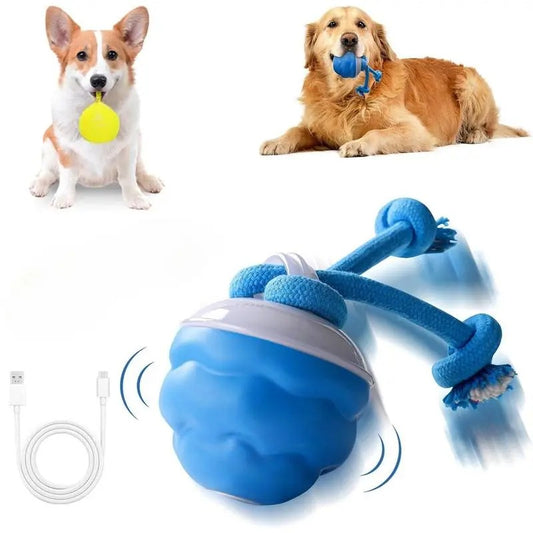 🔥2026 Hot Sale🎁Interactive Electronic Pet Soothing Toy Ball