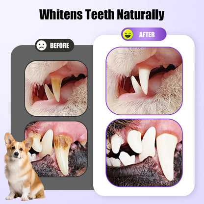 🔥 LAST DAY -BUY 1 GET 1 FREE 🔥 Pet Oral Repair Gel Toothbrush 🐱🐶