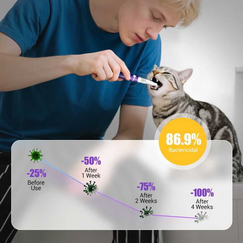 🔥 LAST DAY -BUY 1 GET 1 FREE 🔥 Pet Oral Repair Gel Toothbrush 🐱🐶