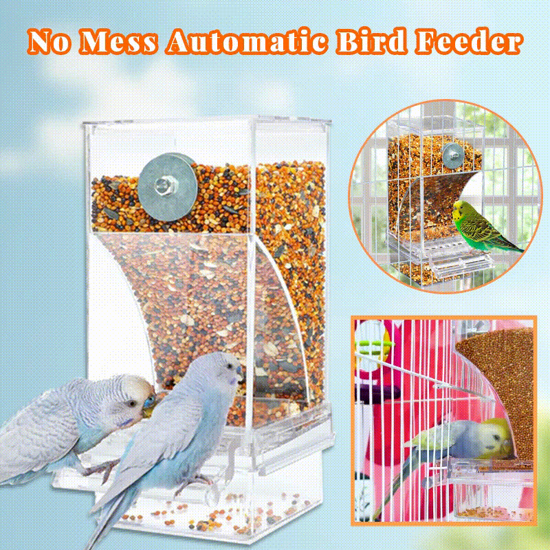 🐦Automatic No-Spill Transparent Bird Feeder