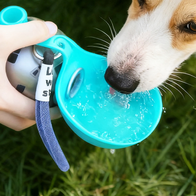 🐾 Foldable Pet Water Bottle – Portable, Leak-Proof & Perfect for Travel ✨💧