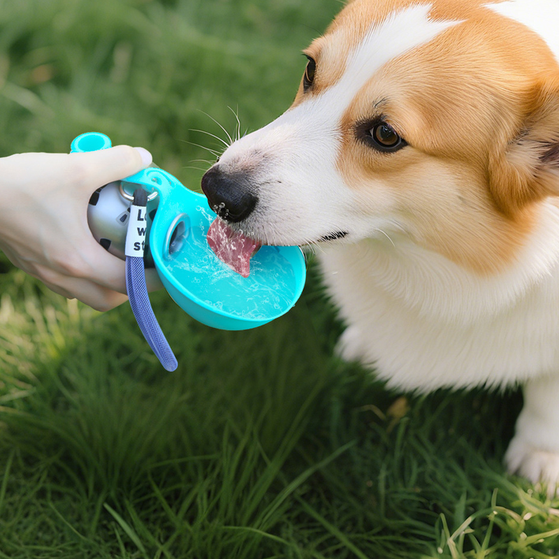 🐾 Foldable Pet Water Bottle – Portable, Leak-Proof & Perfect for Travel ✨💧